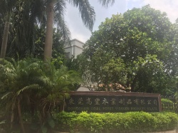 祝賀東莞高豐木業(yè)制品有限公司 順利通過THD家得寶三項審核驗廠